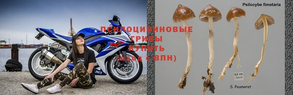 мяу мяу мука Бородино