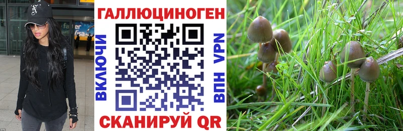 мега маркетплейс  Звенигово  Псилоцибиновые грибы GOLDEN TEACHER 